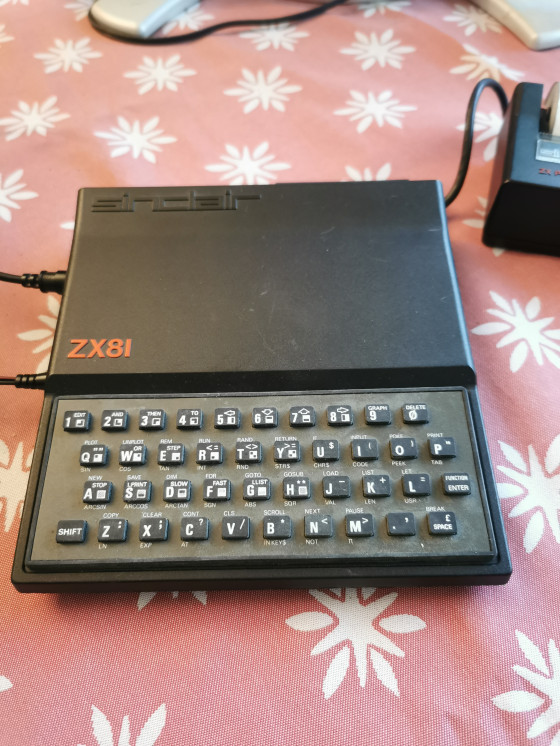 ZX81 mit Gummitastatur