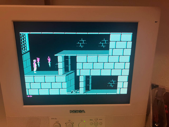 Prince of Persia auf dem Micro8088 mit CGA